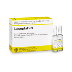 Laseptal N Injektionslösung vet. 100 ml 100 ml