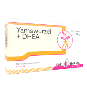 YAMSWURZEL+DHEA 25 mg Kapseln